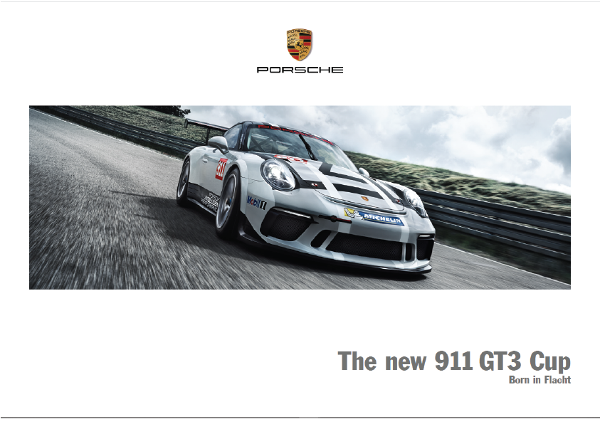 Porsche_int 911GT3cup_2017