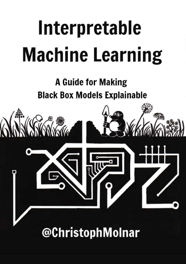 Interpretable Machine Learning